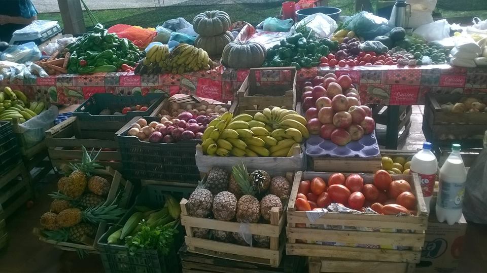 Lee más sobre el artículo Oferta de Productos Agropecuarios en el Mercado Municipal